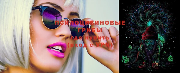 МДПВ Абинск