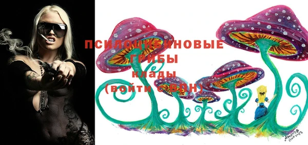 МДПВ Абинск