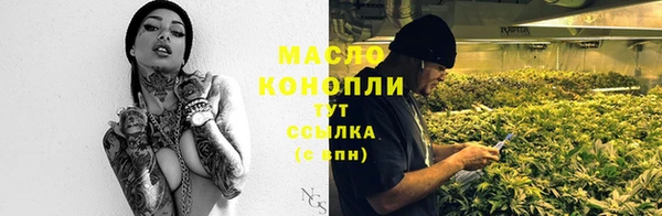 тгк Абаза
