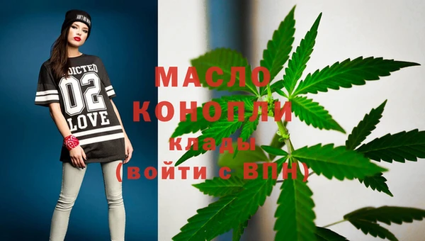 тгк Абаза