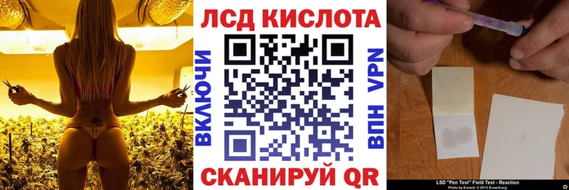 Марки N-bome 1,8мг  Кингисепп 
